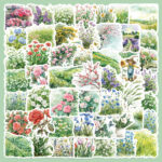 Fresh and charming watercolor summer clipart stickers